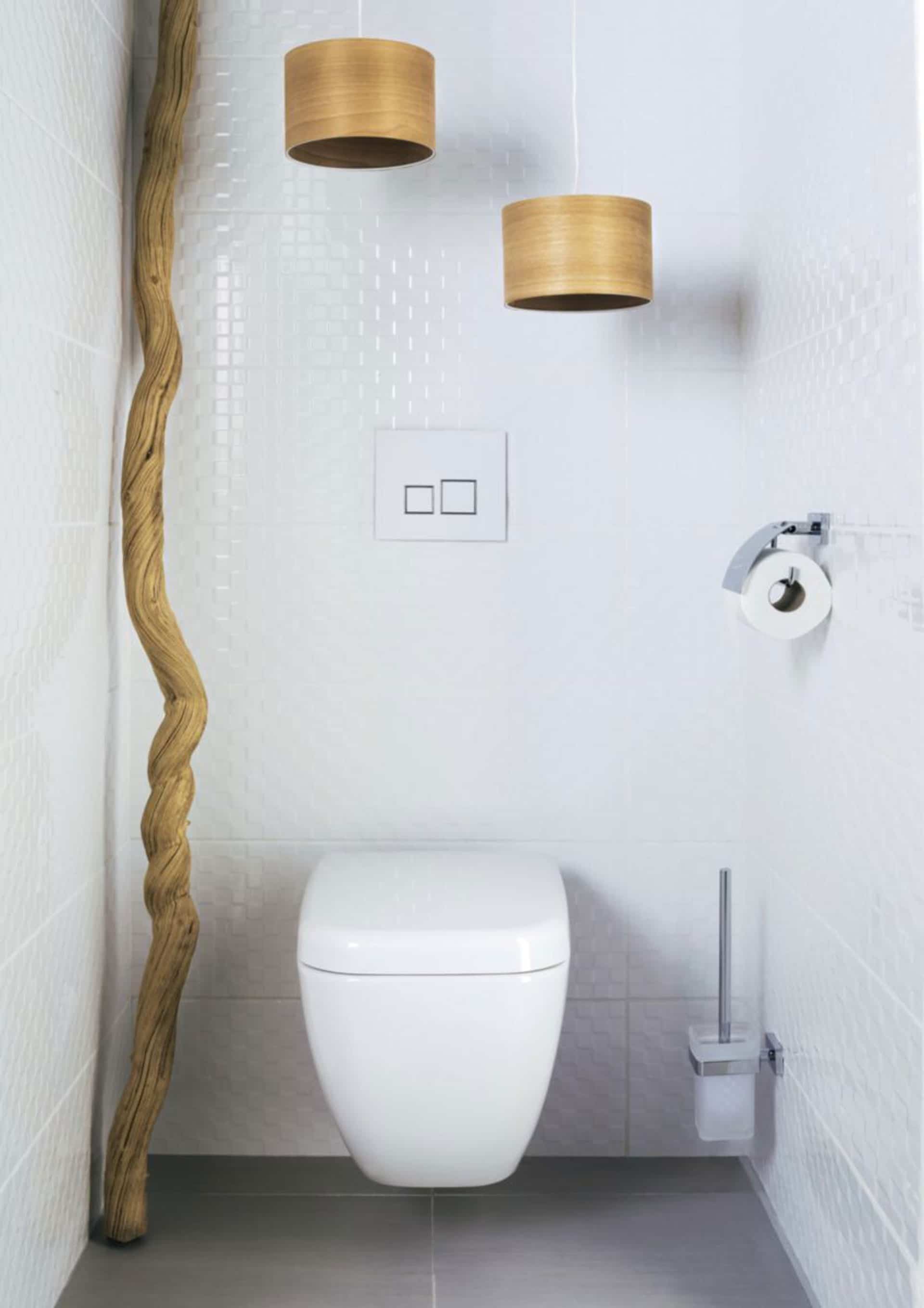 Design D'intérieur De Toilette Moderne, Cuvette De Toilette