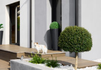 parterre-fleurs-décoration-maison-