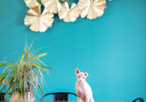 chat-table-manger