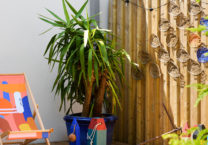 décoration-extérieur-terrasse-t