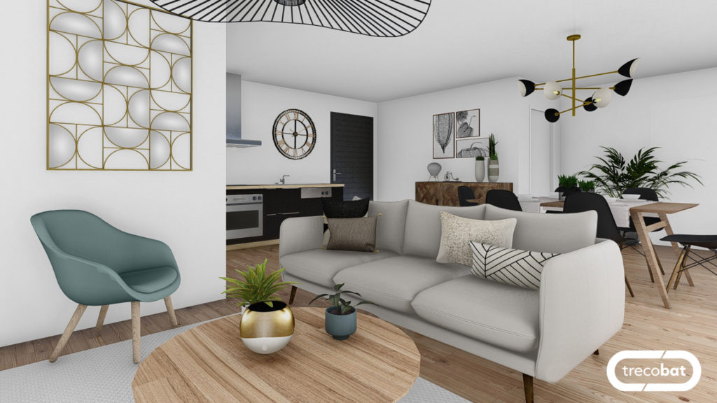 salon-pièce-vie-maison-
