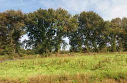 Terrain à Bodilis 29400 623m2 24297 € - SME-26-06-26-1