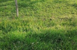 Terrain à Nostang 56690 359m2 69000 € - GMA-26-08-04-54