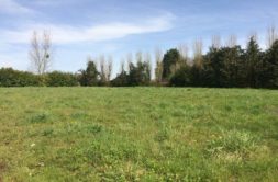 Terrain à Moelan-sur-Mer 29350 578m2 95000 € - LSE-26-05-09-4