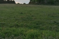 Terrain à Landevant 56690 803m2 99000 € - GMA-26-08-04-30