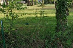 Terrain à Landevant 56690 665m2 99000 € - GMA-26-08-04-31