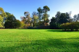 Terrain à Plomeur 29120 487m2 39000 € - DPAS-26-05-10-42
