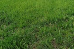 Terrain à Baud 56150 330m2 52000 € - GMA-26-08-04-4