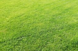 Terrain à Plurien 22240 415m2 84726 € - ASCO-26-05-20-6