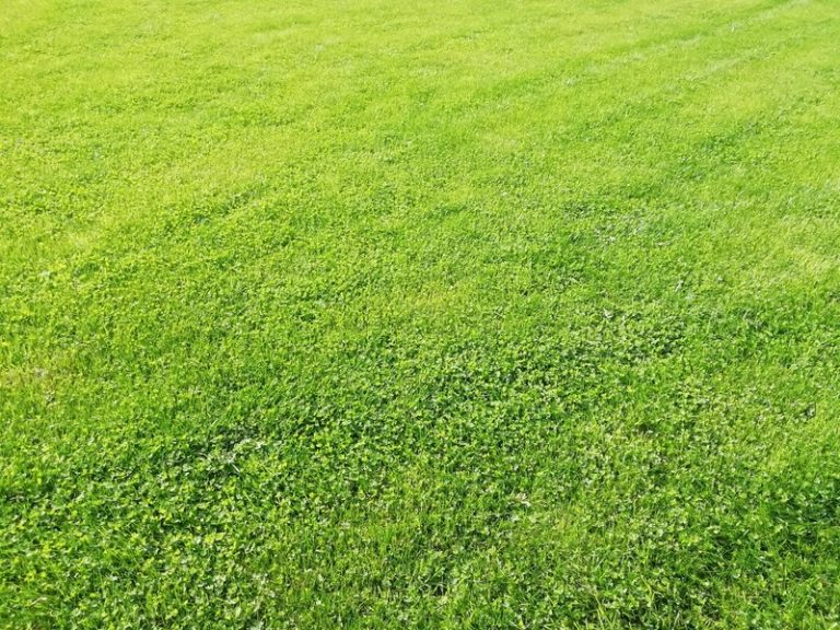 Terrain à Plurien 22240 434m2 88726 € - ASCO-26-05-20-7