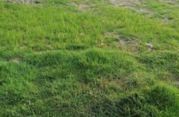 Terrain à Branderion 56700 352.00m2 65120 € - GMA-26-10-22-15