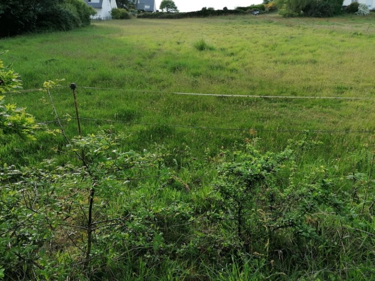 Terrain à Languidic 56440 583m2 85700 € - GMA-26-08-04-38