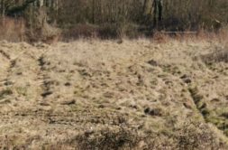 Terrain à Carbonne 40170 455m2 64500 € - EREV-26-10-01-1