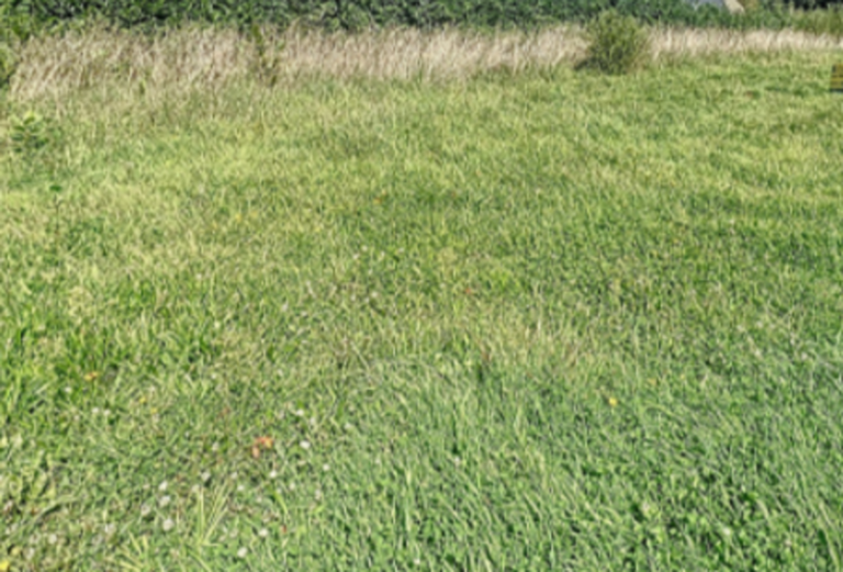 Terrain à Ploneis 29710 507m2 50000 € - ATRIQ-26-07-03-9