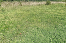 Terrain à Ploneis 29710 840m2 75000 € - ATRIQ-26-05-17-111