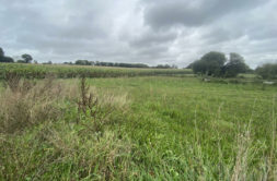 Terrain à Saint-Coulitz 29150 1000m2 43900 € - ATRIQ-26-07-03-12