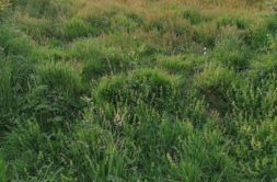 Terrain à Crach 56950 433m2 212000 € - GMA-26-08-04-11