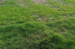 Terrain à Landevant 56690 510m2 72000 € - GMA-26-08-04-32