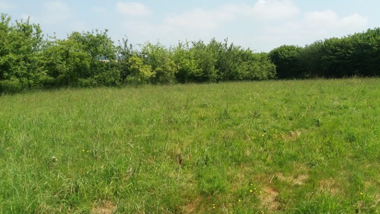 Terrain à Pleneuf-Val-Andre 22370 306m2 133000 € - ASCO-26-05-20-10