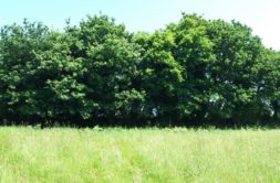 Terrain à Pleneuf-Val-Andre 22370 358m2 140000 € - ASCO-26-06-05-9