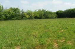 Terrain à Lamballe-Armor 22400 457m2 48900 € - ASCO-26-04-28-16