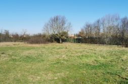 Terrain à Saint-Lys 31470 540m2 89000 € - CROP-26-07-06-9