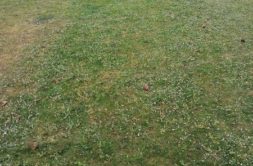 Terrain à Baud 56150 300m2 62900 € - GMA-26-08-04-6
