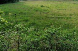 Terrain à Baud 56150 370m2 74500 € - GMA-26-08-04-8