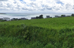 Terrain à Saint-Nic 29550 556m2 86000 € - ATRIQ-26-05-17-109