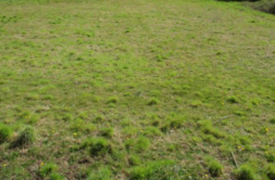 Terrain à Melgven 29140 665m2 88900 € - LPEC-26-05-05-13