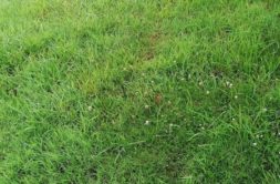 Terrain à Plouha 22580 373m2 44760 € - JBES-26-09-29-31