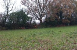 Terrain à Grandchamp-des-Fontaines 44119 418m2 129500 € - BF-26-05-04-13