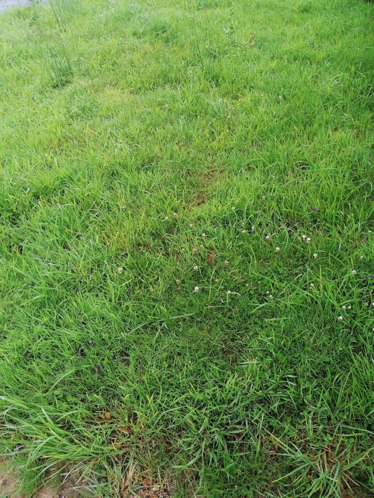 Terrain à Plouha 22580 530m2 63600 € - JBES-26-09-29-29