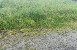 Terrain à Plogonnec  428m2 53360 € - ATRIQ-26-05-17-113