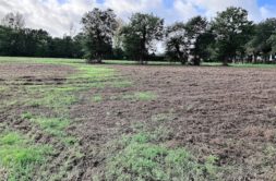 Terrain à Andouille-Neuville 35250 864m2 89000 € - BBA-26-06-04-89