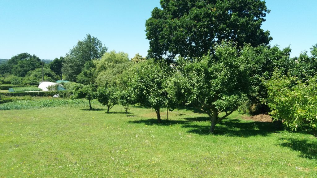 Terrain à Erquy 22430 505m2 68990 € - ASCO-26-06-03-11