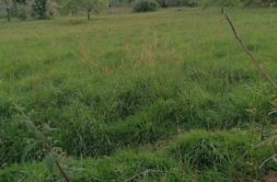 Terrain à Riantec 56670 288m2 86000 € - GMA-26-08-04-73