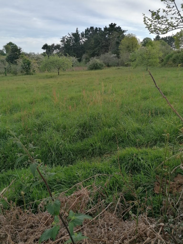 Terrain à Riantec 56670 288m2 86000 € - GMA-26-08-04-73