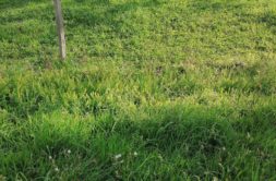 Terrain à Riantec 56670 430m2 126000 € - GMA-26-08-04-75
