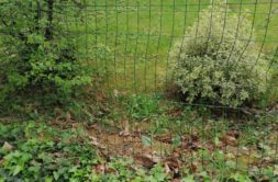 Terrain à Riantec 56670 404m2 92900 € - GMA-26-08-04-77