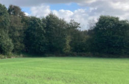 Terrain à Locronan 29180 990m2 84500 € - ATRIQ-26-05-17-114