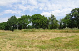 Terrain à Pont-Saint-Martin 44860 750m2 145000 € - BF-26-08-12-15