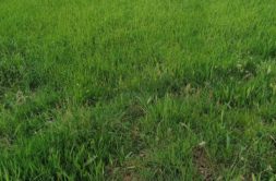 Terrain à Noyal-Pontivy 56920 950m2 49450 € - GMA-26-08-04-57