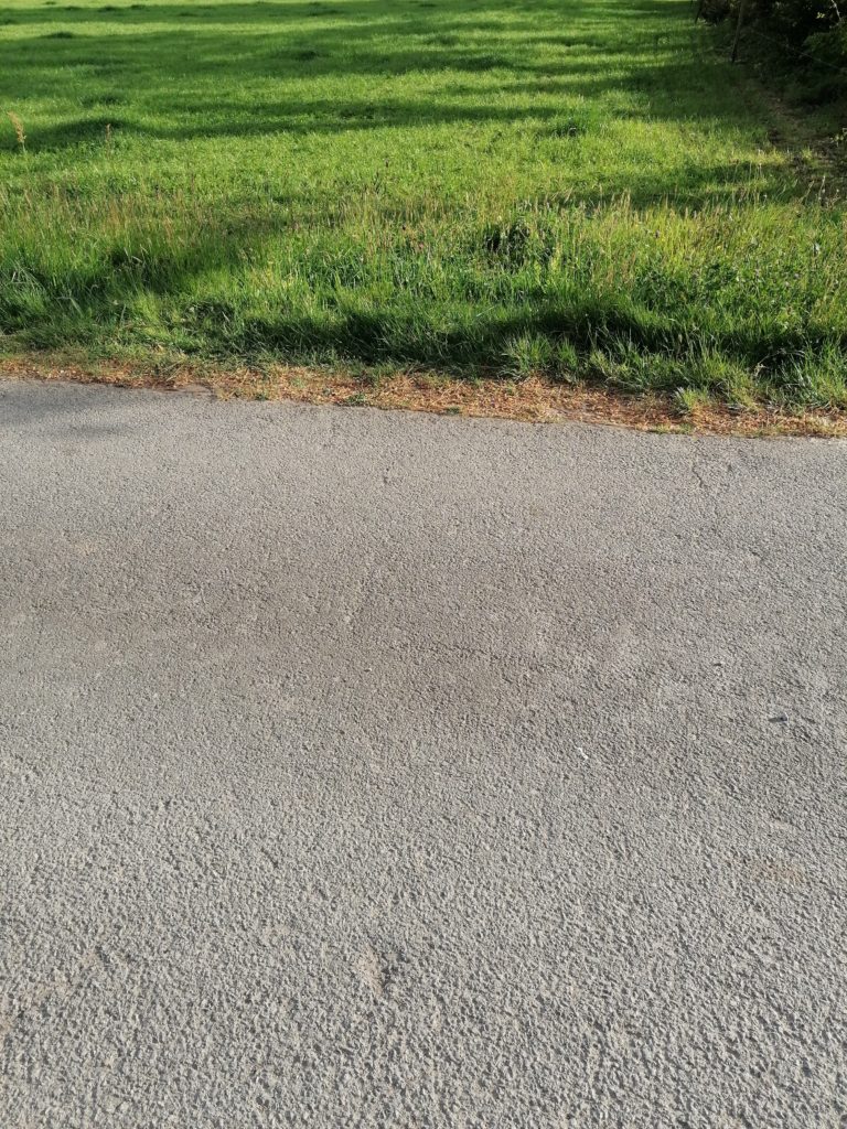 Terrain à Berne 56240 443m2 33479 € - GMA-26-10-22-9