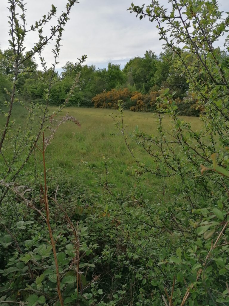 Terrain à Plumeliau-Bieuzy 56930 703m2 33000 € - GMA-26-10-24-2
