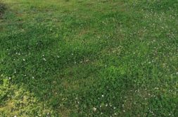 Terrain à Merlevenez 56700 270m2 82350 € - GMA-26-08-04-47