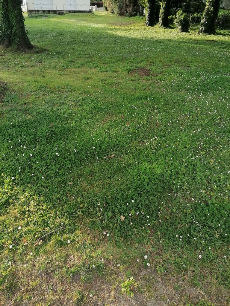 Terrain à Merlevenez 56700 270m2 82350 € - GMA-26-08-04-47