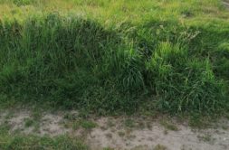 Terrain à Merlevenez 56700 315m2 96075 € - GMA-26-08-04-48