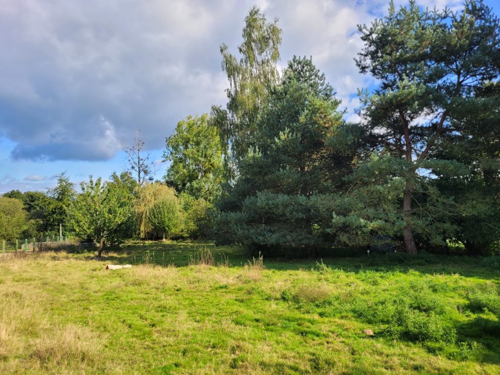 Terrain à Romagne 35133 392m2 41600 € - BBA-26-06-04-87