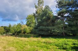 Terrain à Romagne 35133 392m2 41600 € - BBA-26-06-04-87